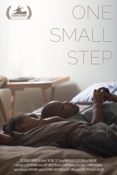 Póster de One Small Step