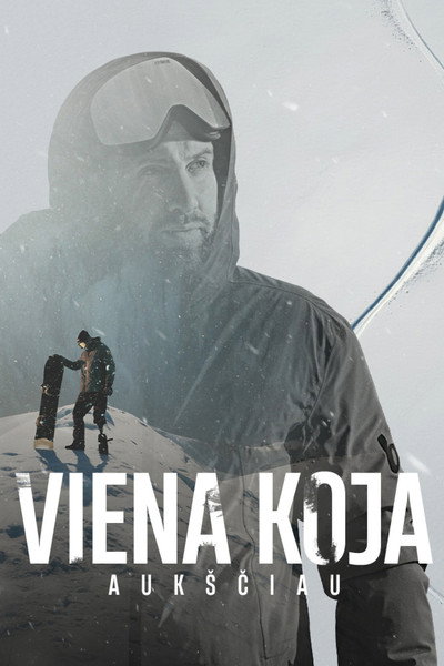 Póster de One Step Higher