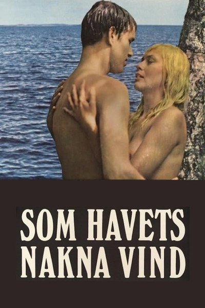 Póster de One Swedish Summer