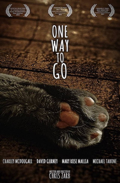 Póster de One Way to Go
