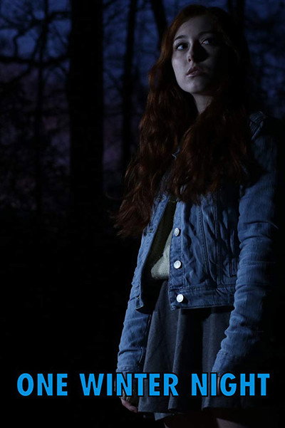 Póster de One Winter Night