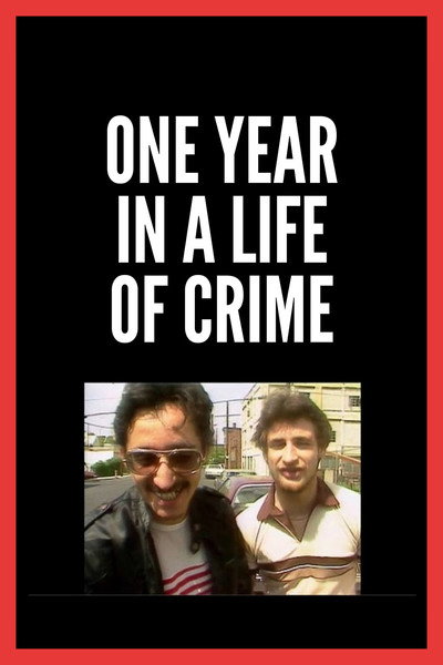 Póster de One Year in a Life of Crime