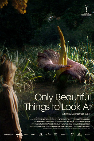 Póster de Only Beautiful Things to Look At