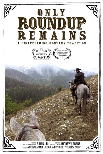 Póster de Only Roundup Remains