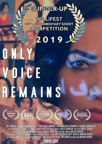 Póster de Only Voice Remains