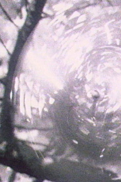 Póster de Oolite