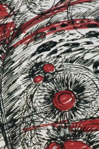 Póster de Oomagatoki