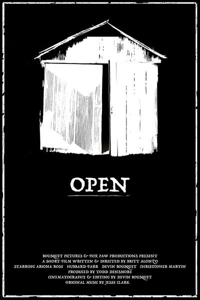 Póster de Open