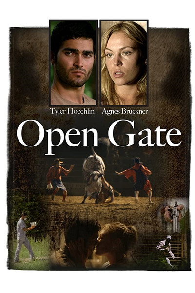 Póster de Open Gate
