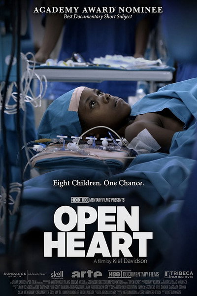 Póster de Open Heart