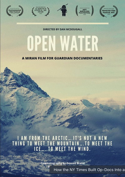Póster de Open Water