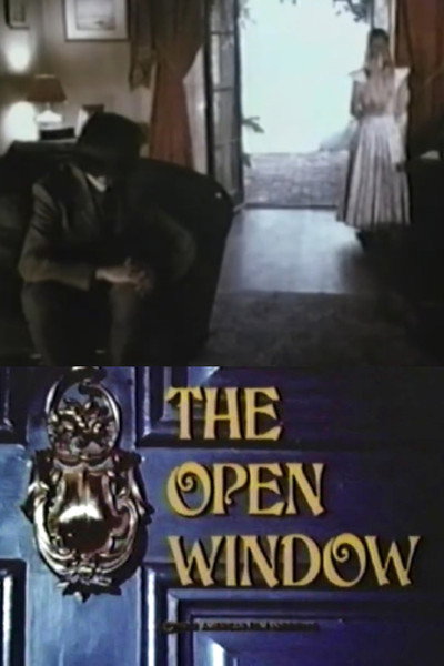 Póster de Open Window