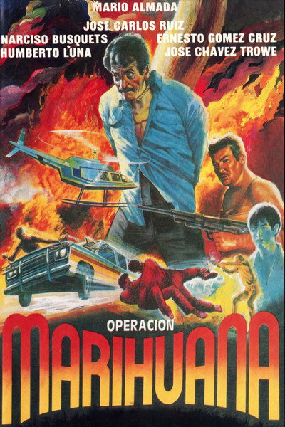 Póster de Operación marihuana