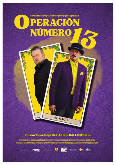 Póster de Operación número 13