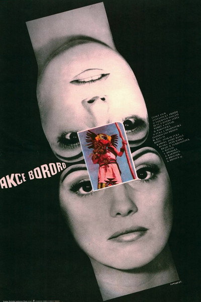 Póster de Operation Bororo