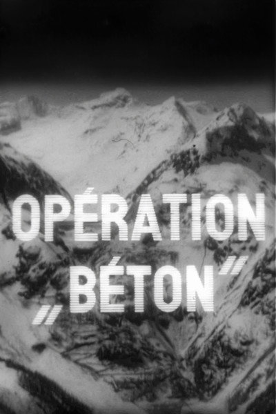 Póster de Operation Concrete