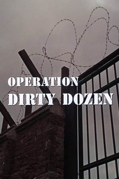 Póster de Operation Dirty Dozen