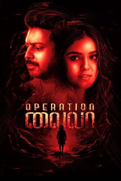 Póster de Operation Laila