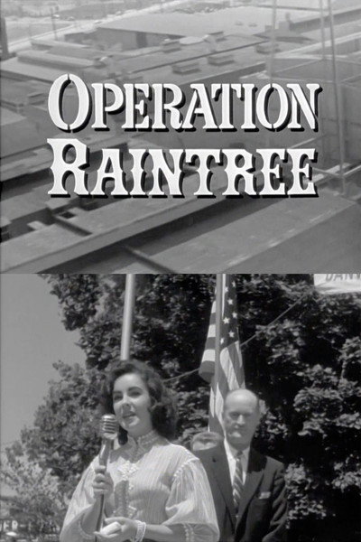Póster de Operation Raintree