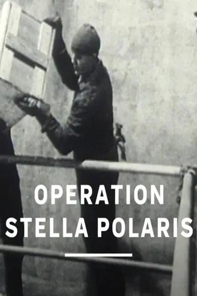 Póster de Operation Stella Polaris