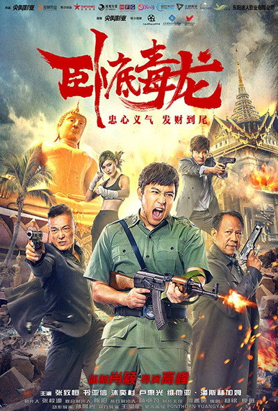 Póster de Operation Undercover 2: Poisonous Dragon