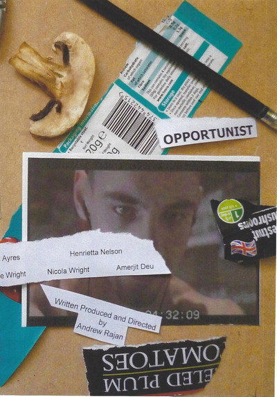 Póster de Opportunist