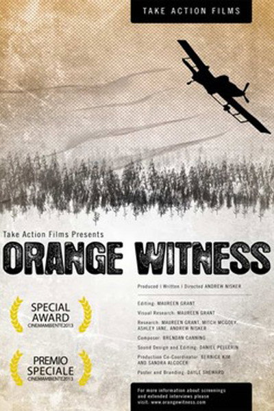 Póster de Orange Witness