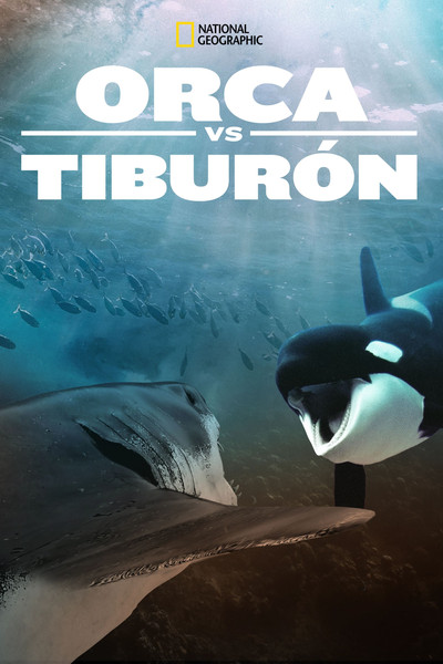 Póster de Orca vs. Great White