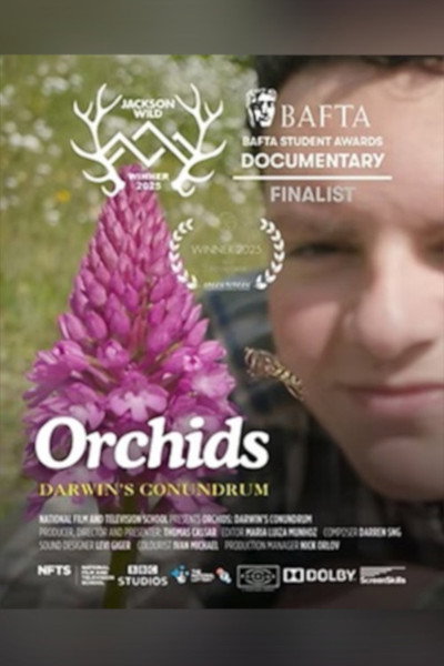 Póster de Orchids: Darwin's Conundrum