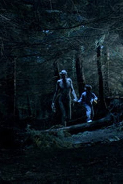 Póster de Ordan's Forest