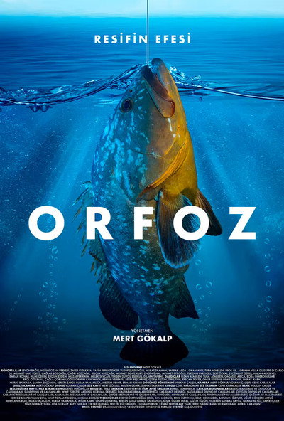 Póster de Orfoz