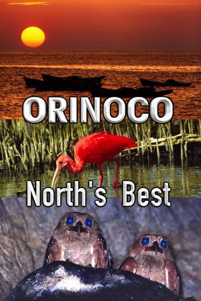 Póster de Orinoco, North's Best