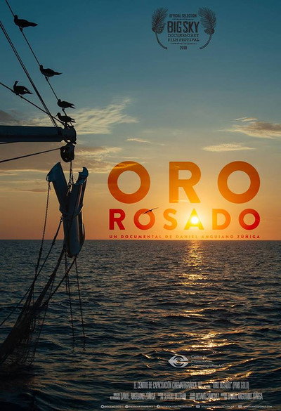 Póster de Oro Rosado