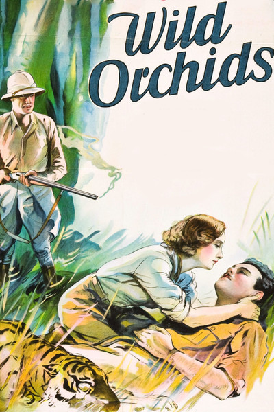 Póster de Orquídeas salvajes