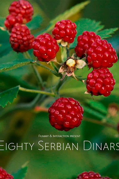 Póster de Osamdeset dinara
