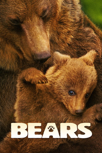 Póster de Osos