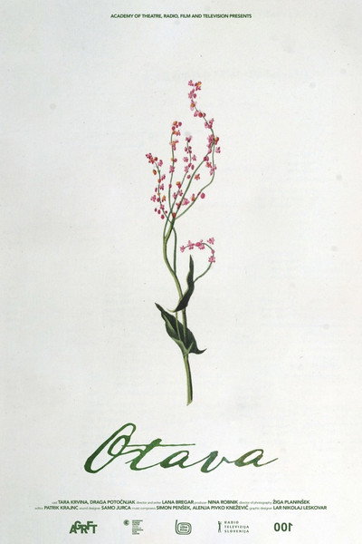 Póster de Otava