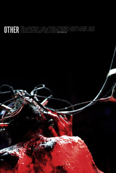 Póster de Other