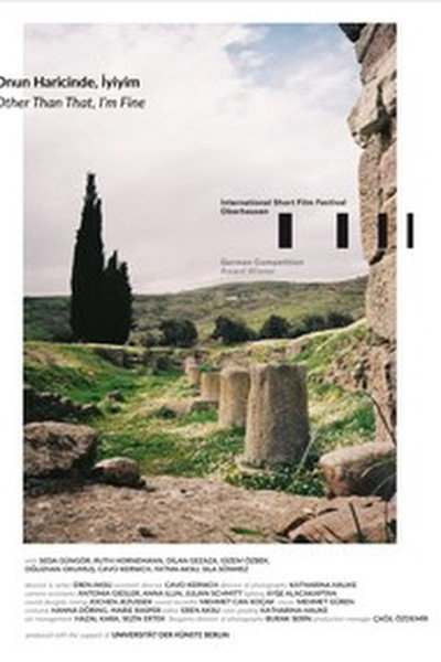Póster de Other Than That, I'm Fine