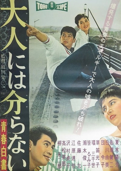 Póster de Otona niwa wakaranai: Seishun hakusho
