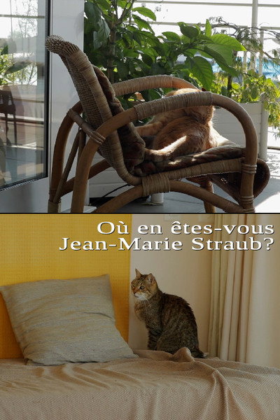 Póster de Où en êtes-vous: Jean-Marie Straub?