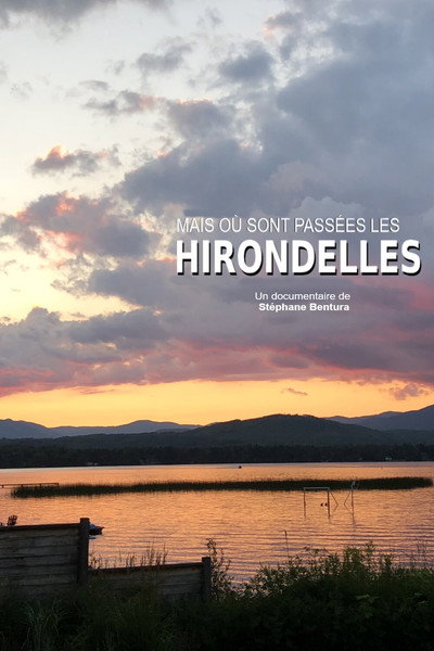 Póster de Où sont passées les hirondelles?
