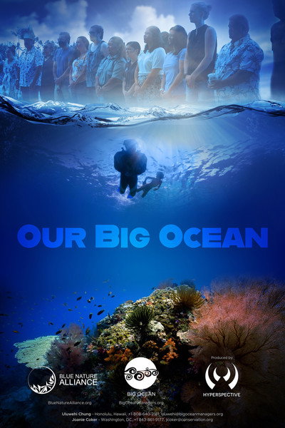 Póster de Our Big Ocean