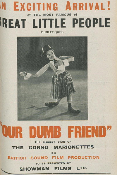 Póster de Our Dumb Friend