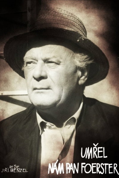 Póster de Our Mr. Foerster Died