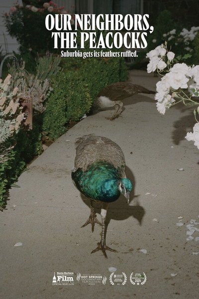 Póster de Our Neighbors, the Peacocks