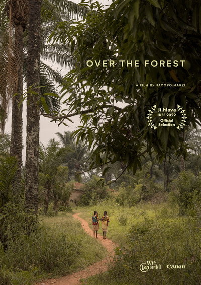 Póster de Over the Forest