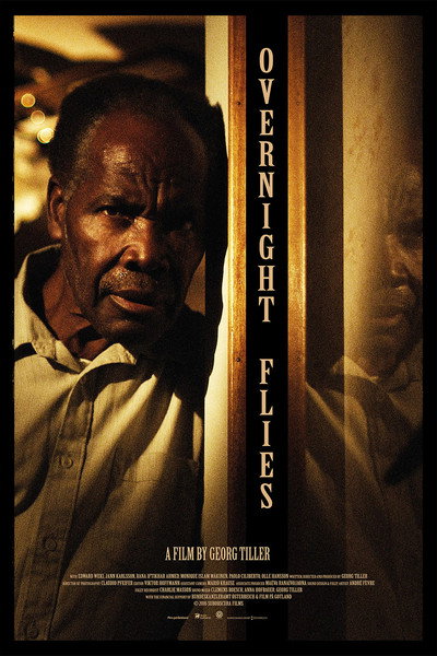 Póster de Overnight Flies