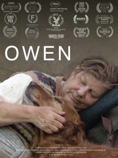 Póster de Owen