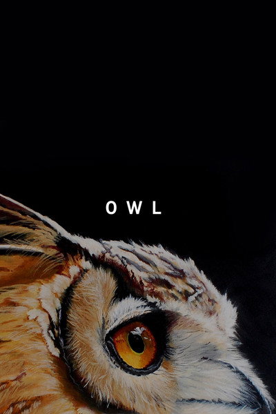 Póster de Owl